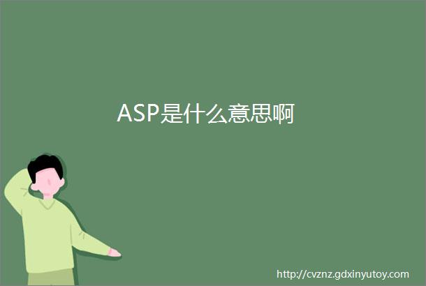 ASP是什么意思啊